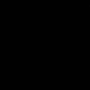 Meet your Posher, Remi